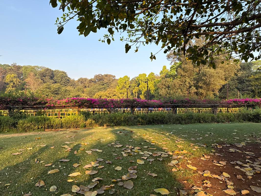 walking near me in Sarasbaug in winter