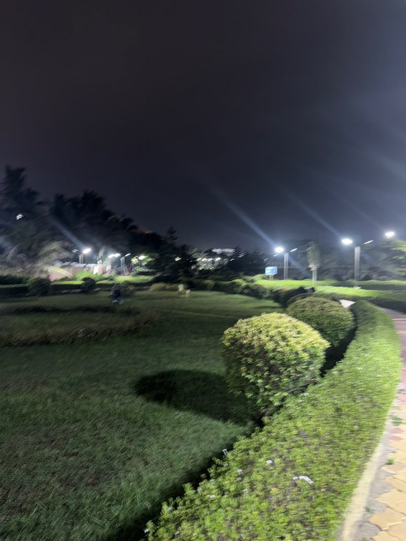 walking near me in Mahatma Gandhi Park in summer