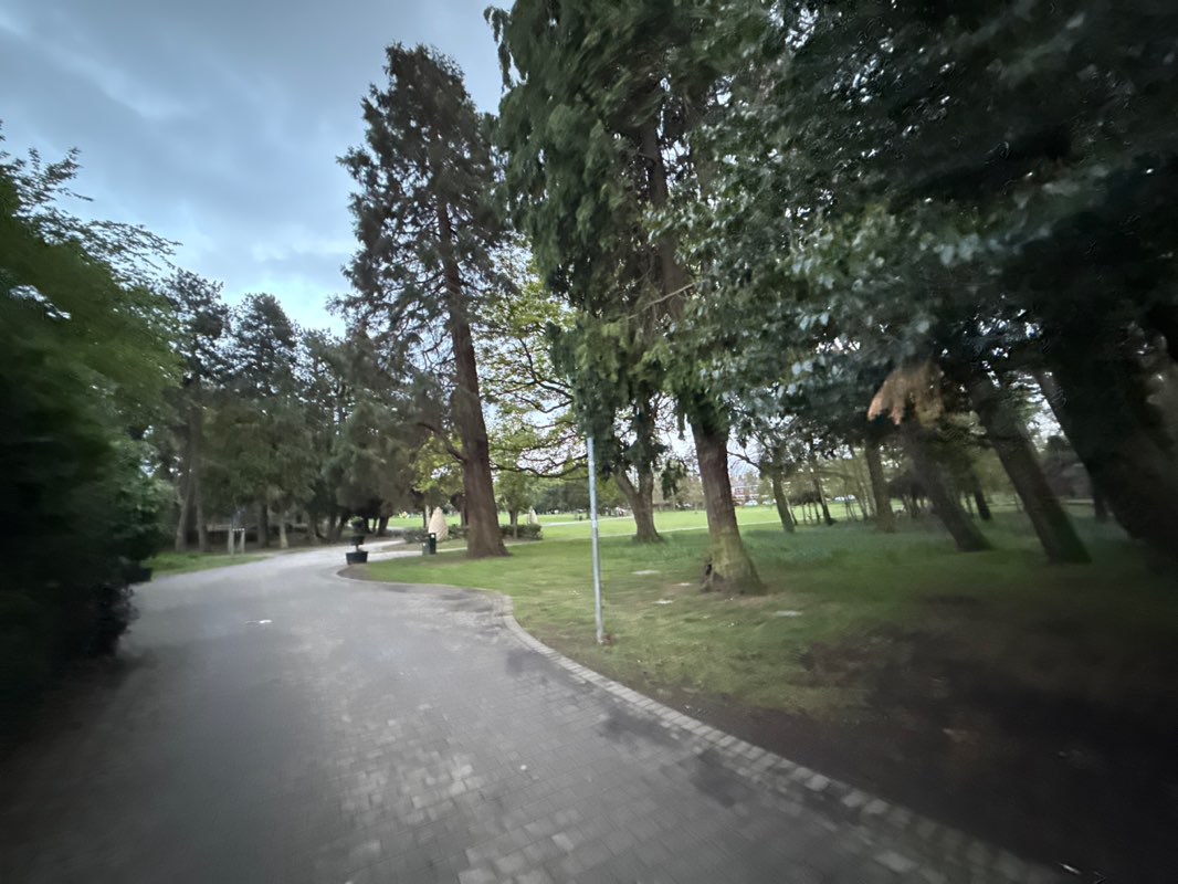 walking near me in Drumglass Park in spring