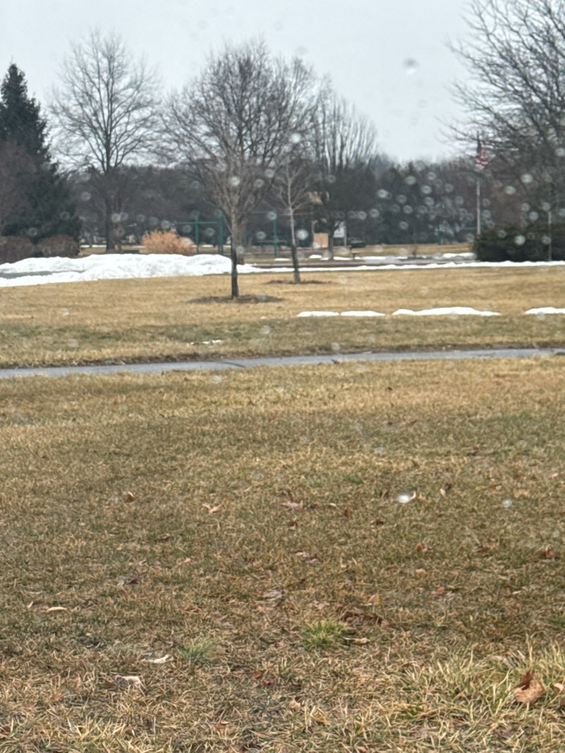 walking near me in Veterans Park in winter