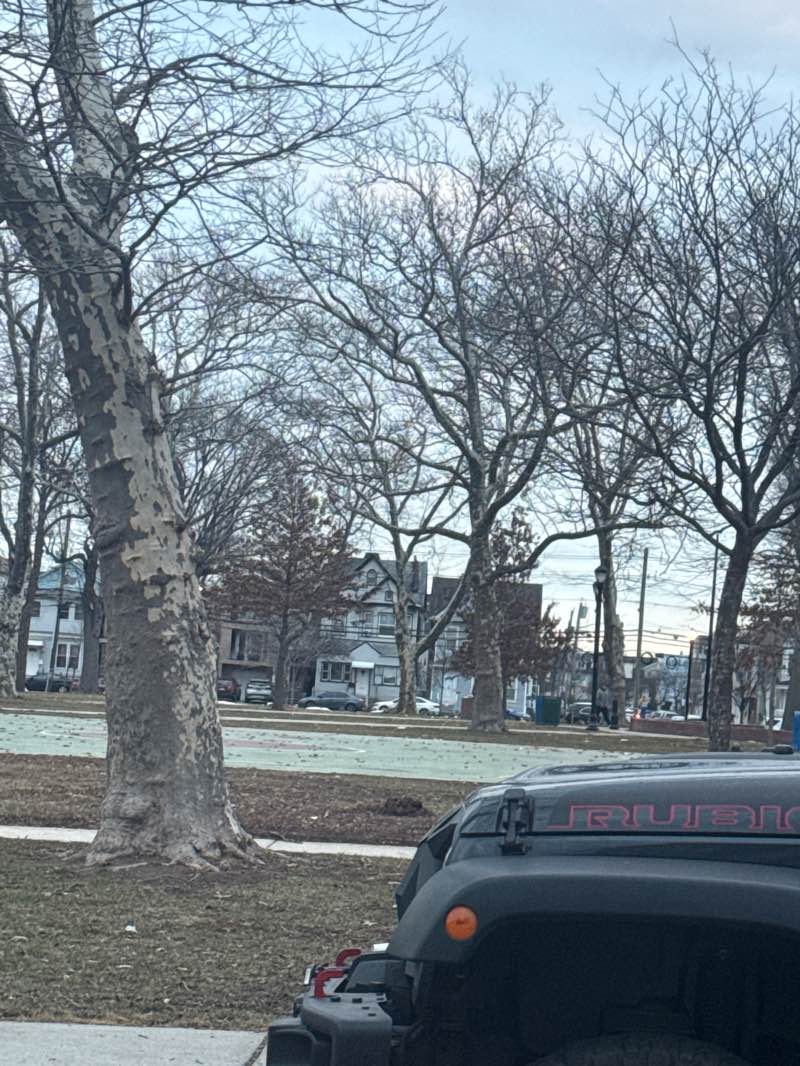 walking near me in Jackson Park in winter