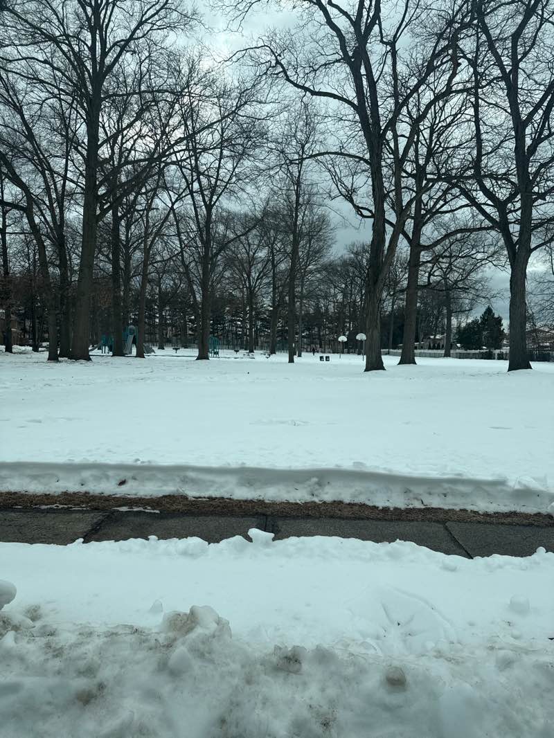walking near me in Hermann Park in winter