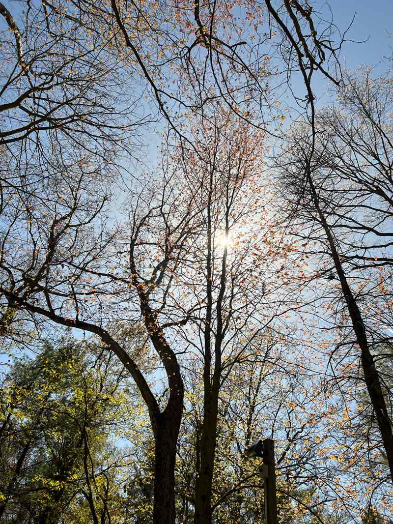 walking near me in Muskegon State Park in spring