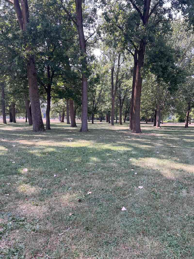 walking near me in Riverside Park in autumn
