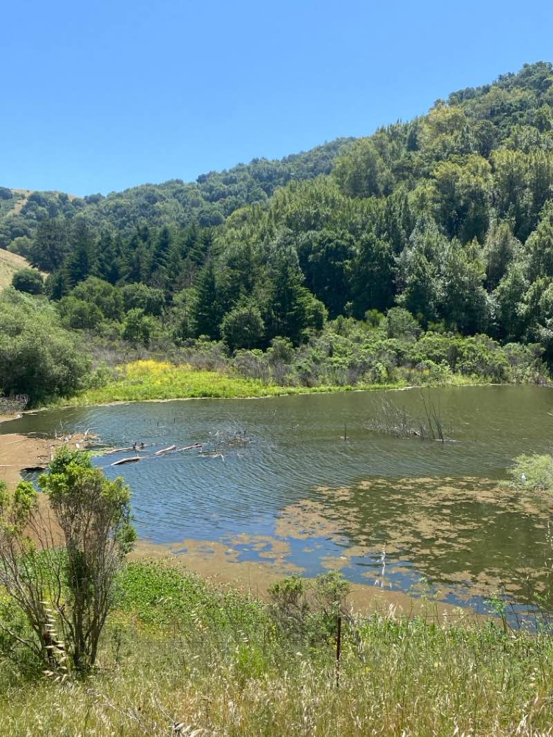 walking near me in Rancho Laguna Park in winter