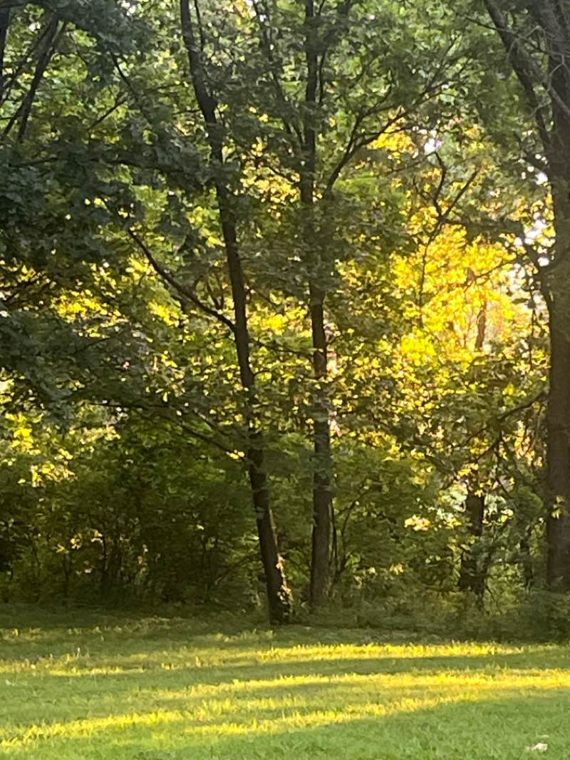 walking near me in River Oaks South Park in summer