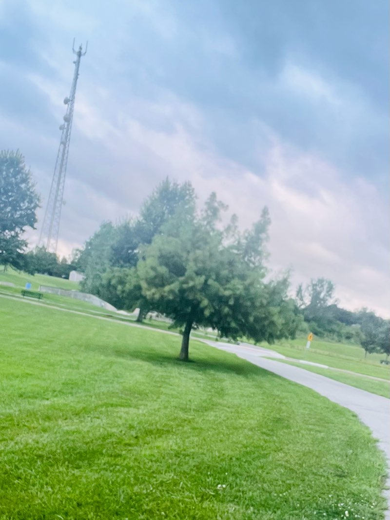 walking near me in Wallace Park in summer