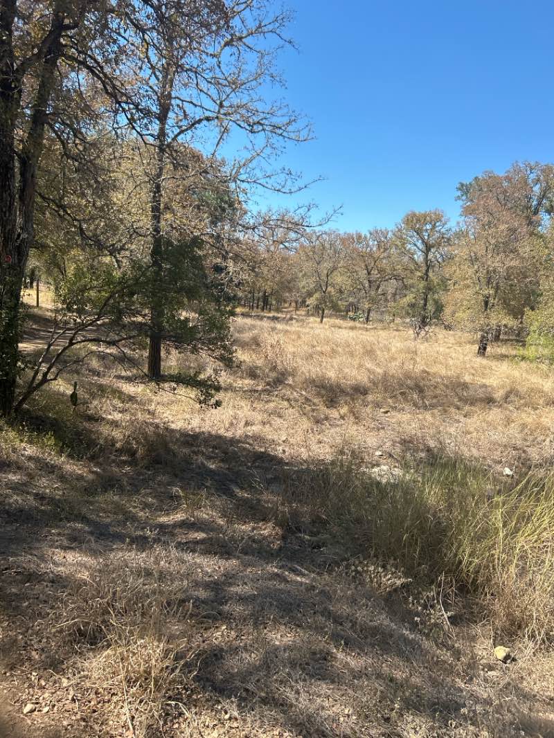 walking near me in San Marcos City Park in autumn