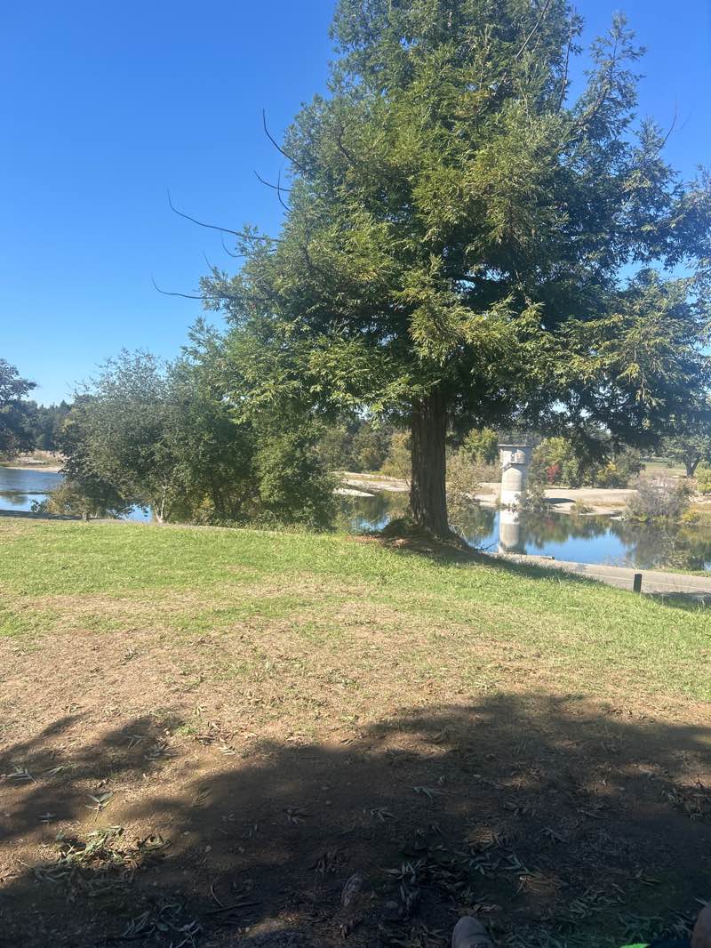 walking near me in Hagan Community Park in autumn