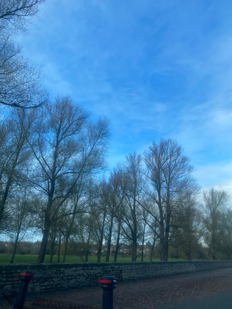 walking near me in Ouse Valley Park in autumn
