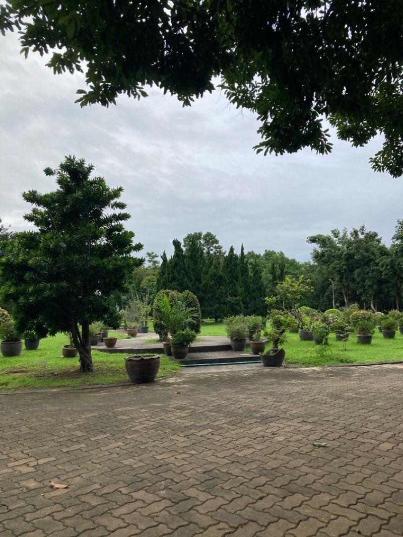 walking near me in King Rama IX Park in winter
