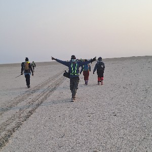 Chimbengo GD profile