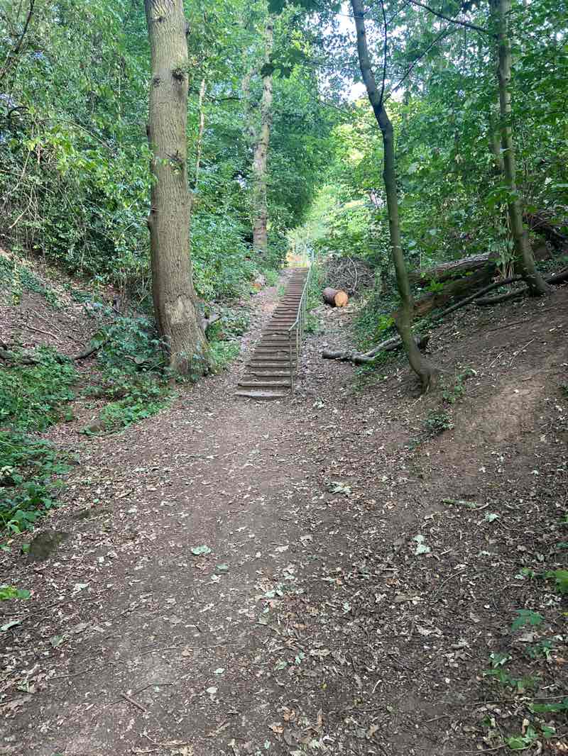 walking near me in The Cliffs in autumn
