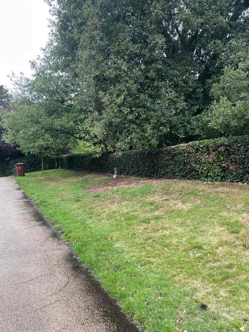 walking near me in Arboretum in autumn