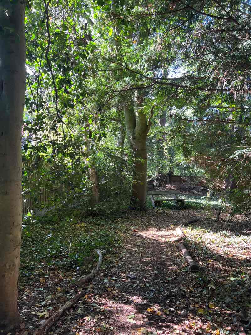 walking near me in Rockley Memorial Park in autumn