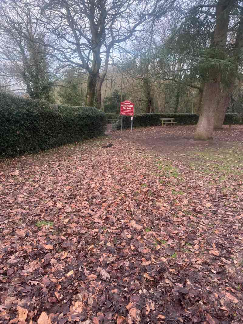 walking near me in The Cliffs in winter