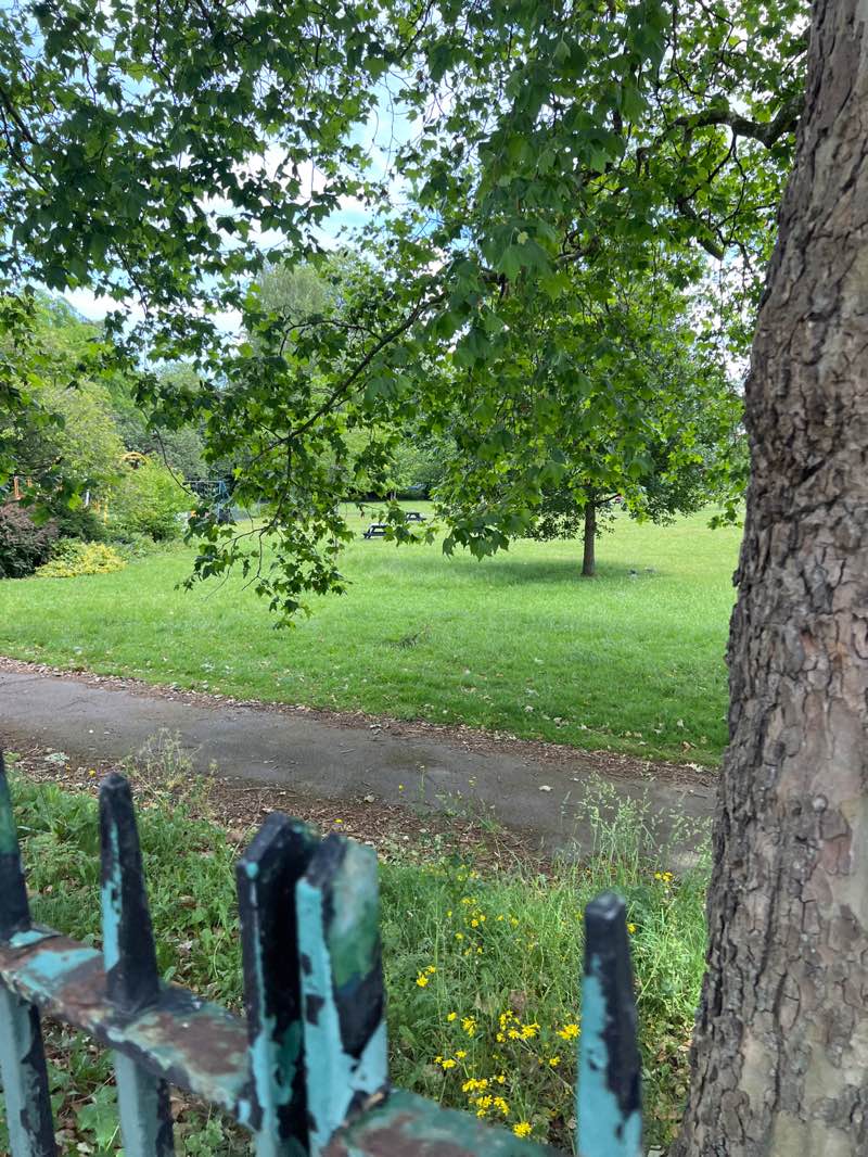 walking near me in Lenton Recreation Ground in summer