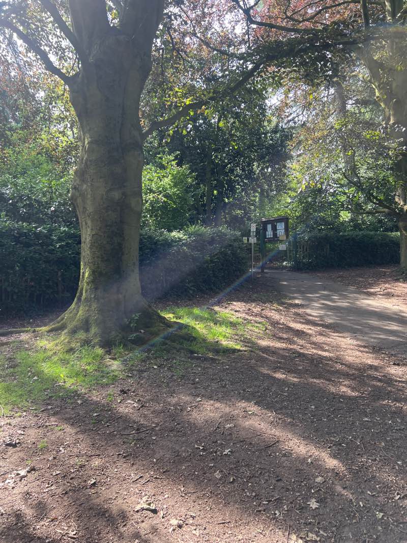 walking near me in Rockley Memorial Park in summer