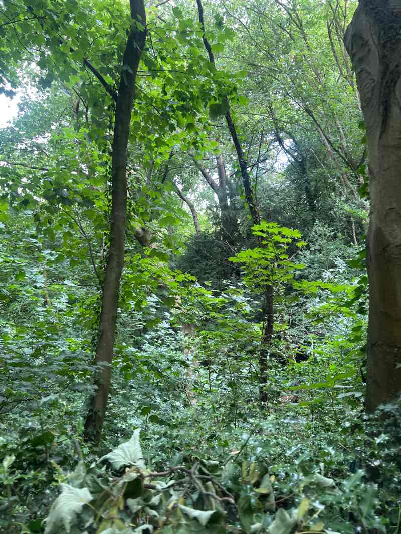 walking near me in The Cliffs in summer