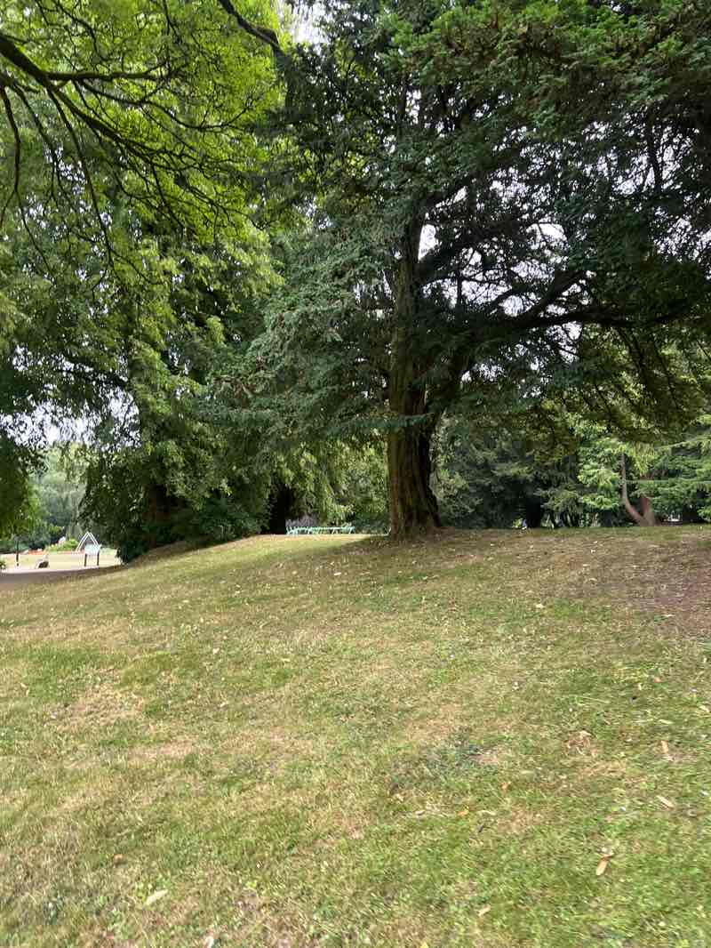 walking near me in Pavilion Gardens in summer