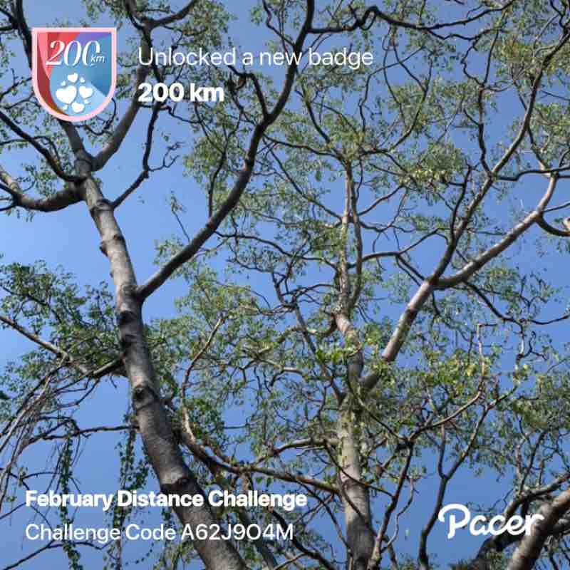 Tamilarasan K post 1