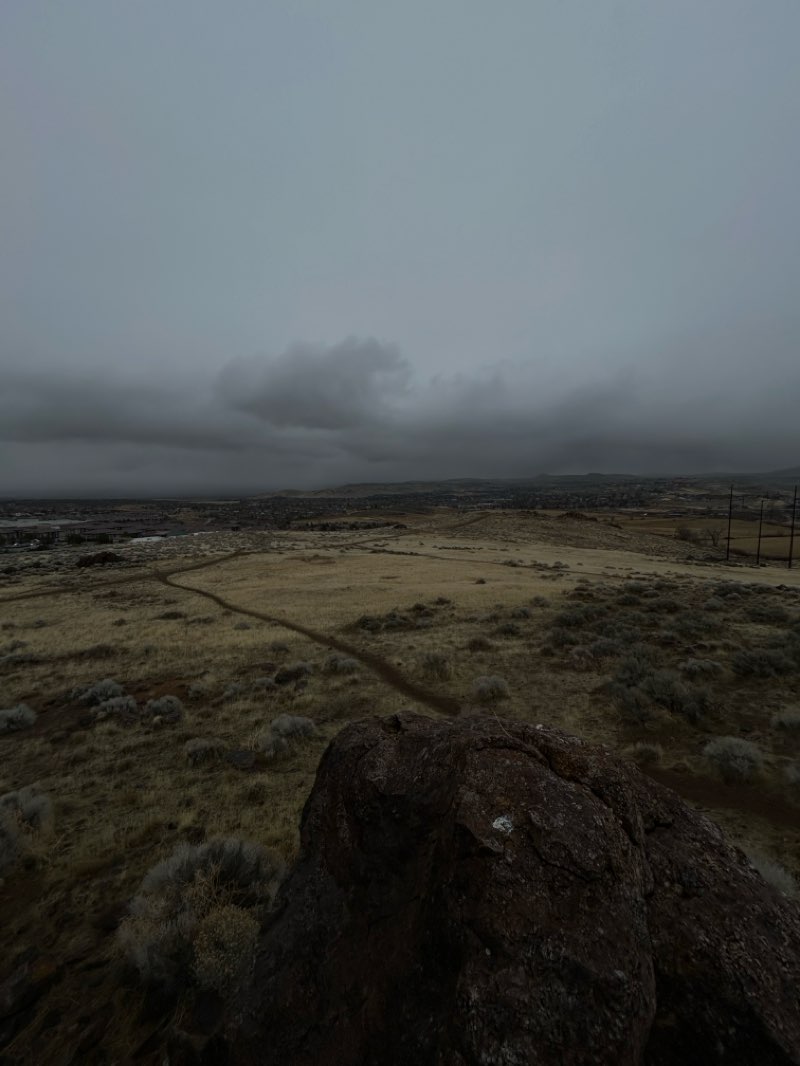 walking near me in Wedekind Regional Park in spring