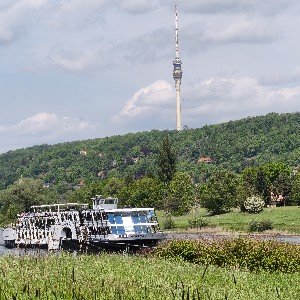 mk