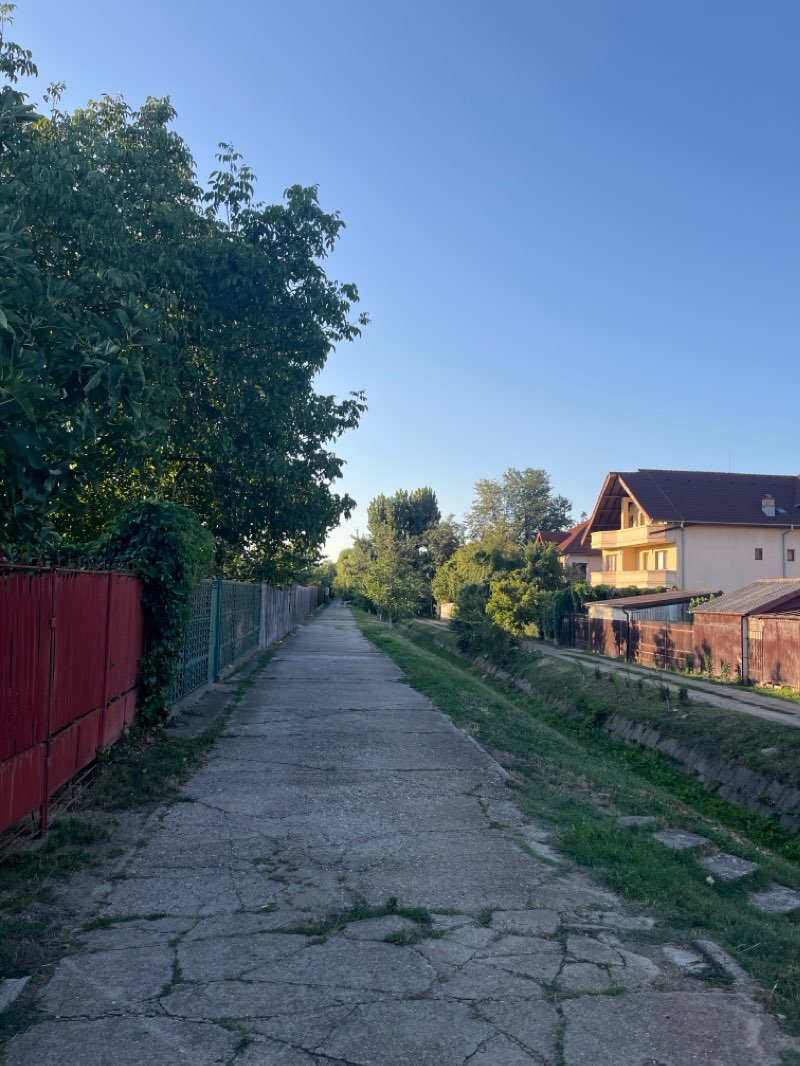 walking near me in Complexul Muzeal Curtea Domnească in winter