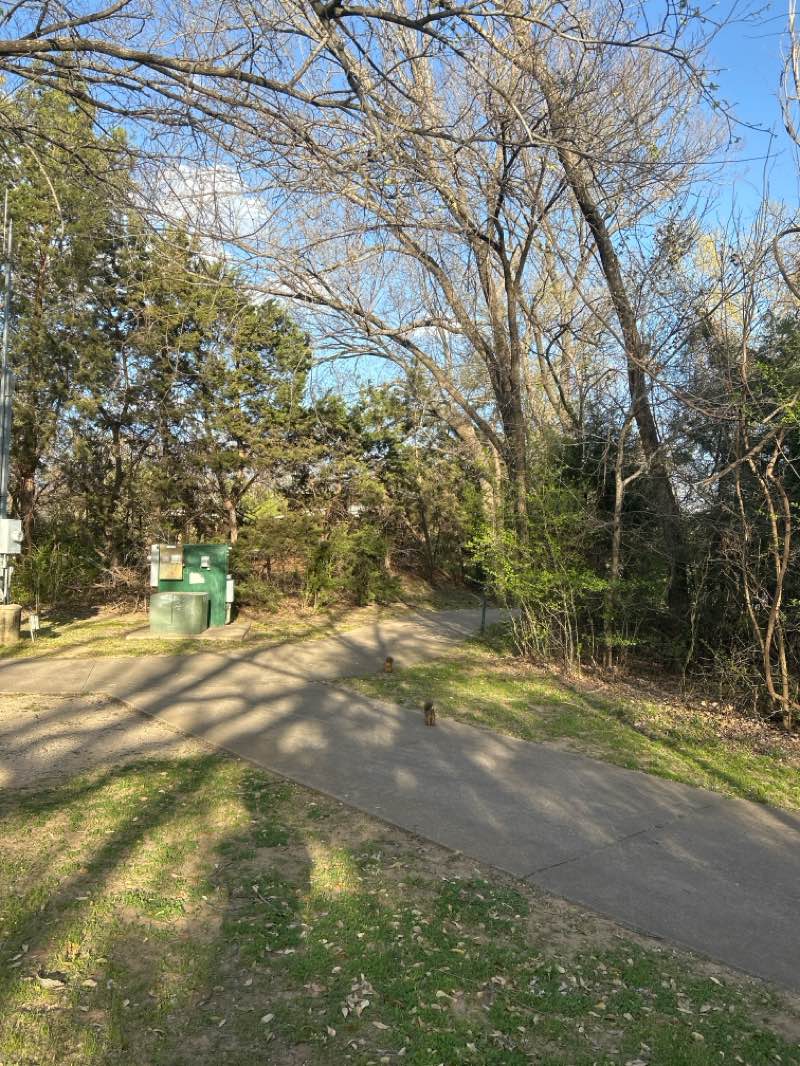 walking near me in McCormick Park in spring