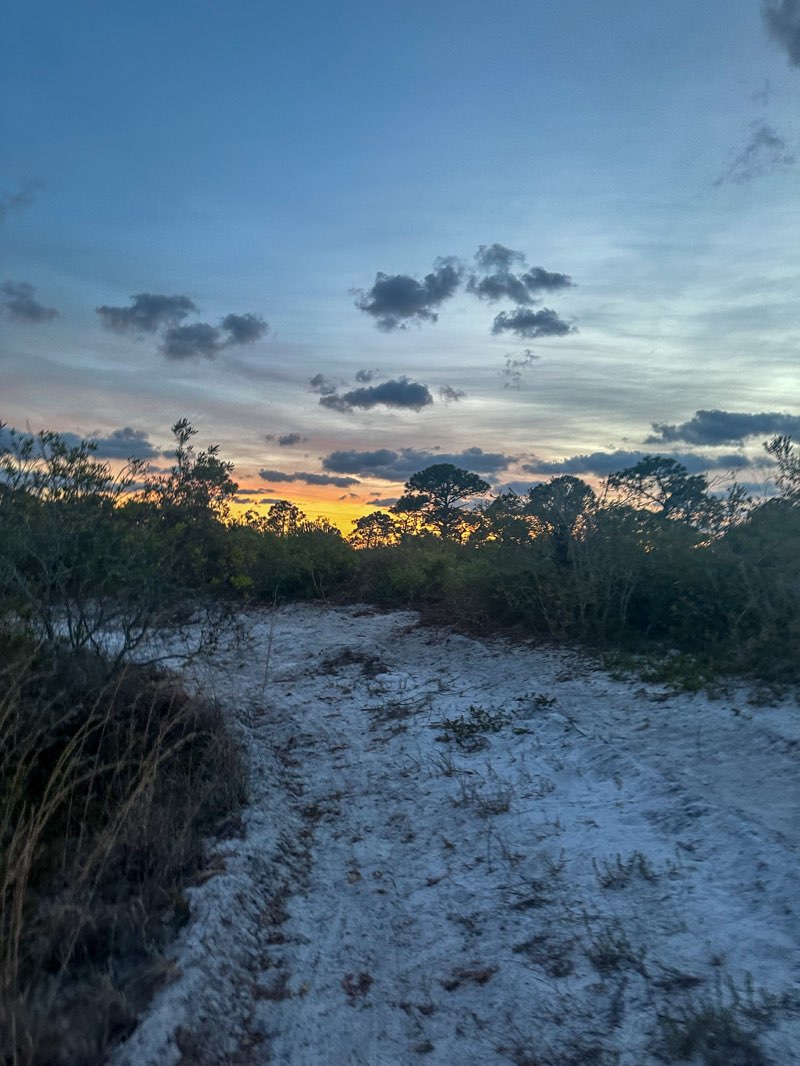 walking near me in Malabar Park in winter