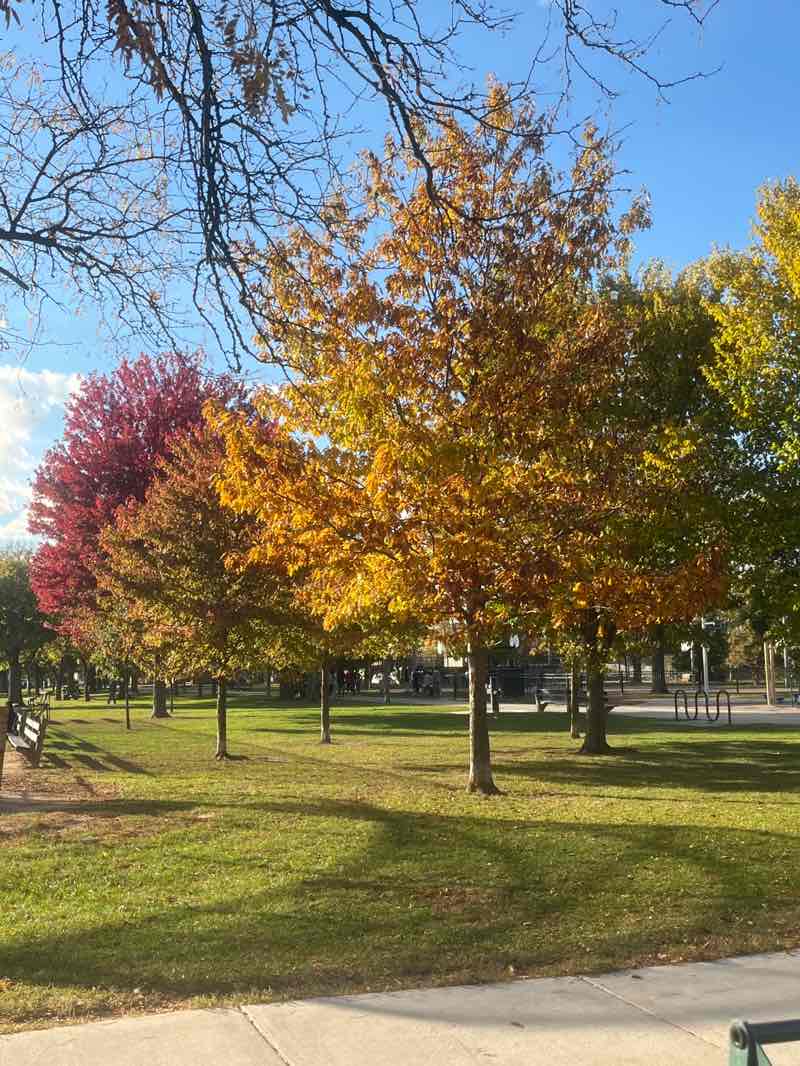 walking near me in Wentworth Park in autumn