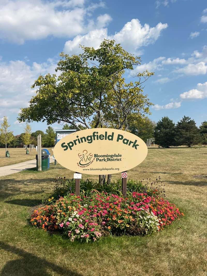 walking near me in Springfield Park in autumn