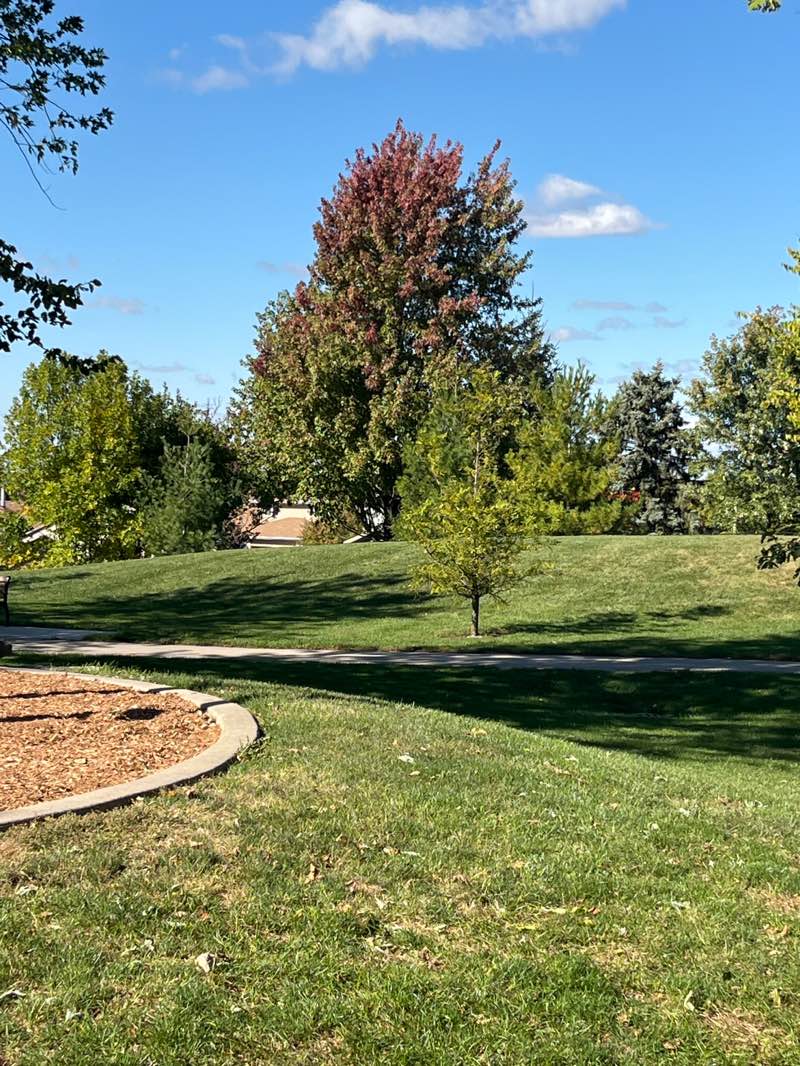 walking near me in Northview Park in autumn