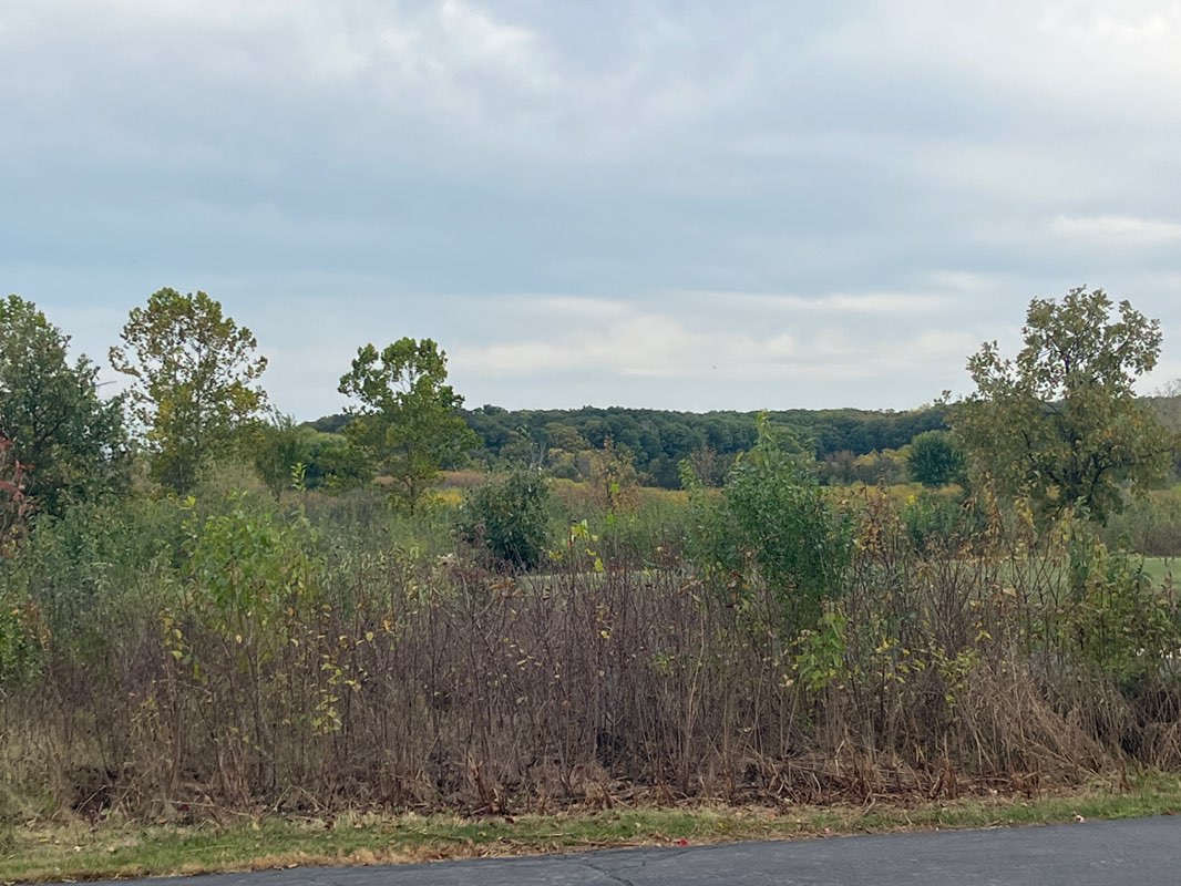 walking near me in Hidden Lake Forest Preserve in autumn
