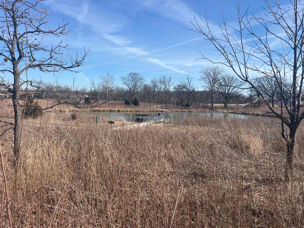 walking near me in Dean Nature Sanctuary in spring