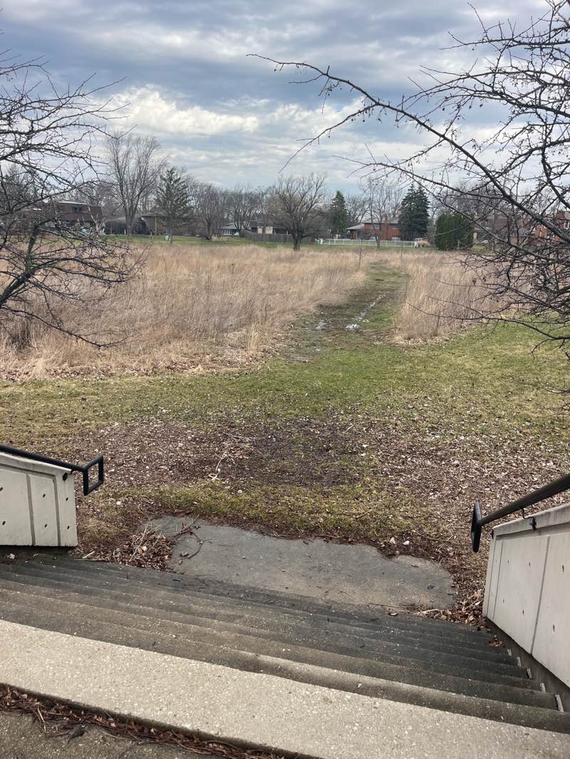 walking near me in Holly Park in spring