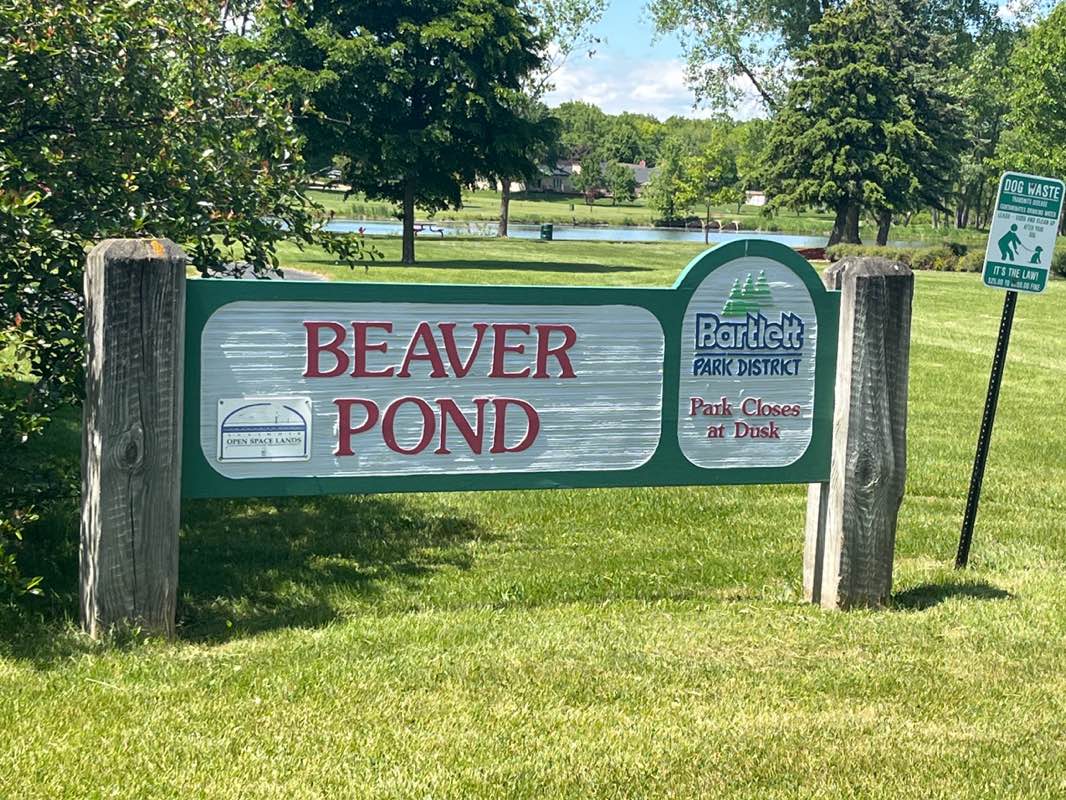 walking near me in Beaver Pond Park in spring