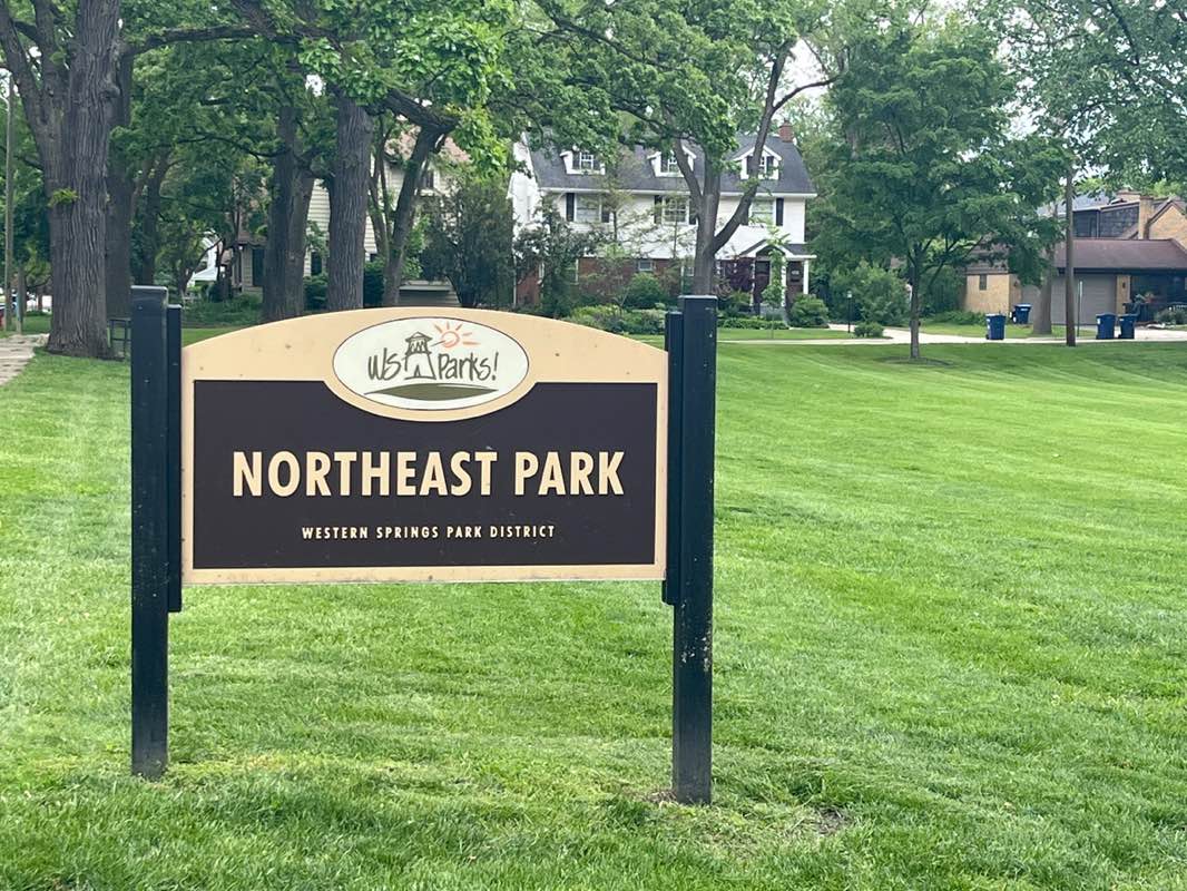 walking near me in Northeast Park in spring