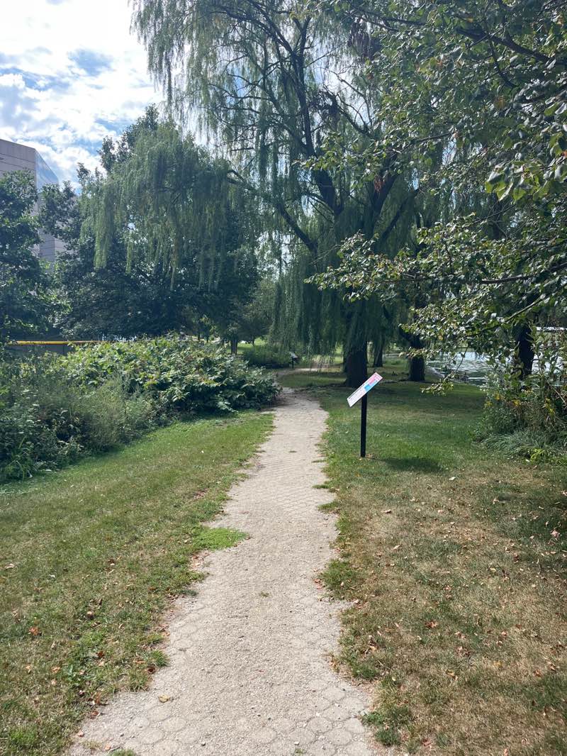 walking near me in Oakbrook Terrace Park District Lake View Nature Center in autumn
