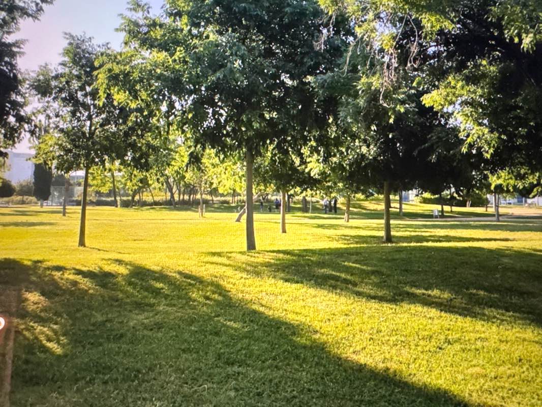 walking near me in Parc de la Granvia de l'Hospitalet in autumn