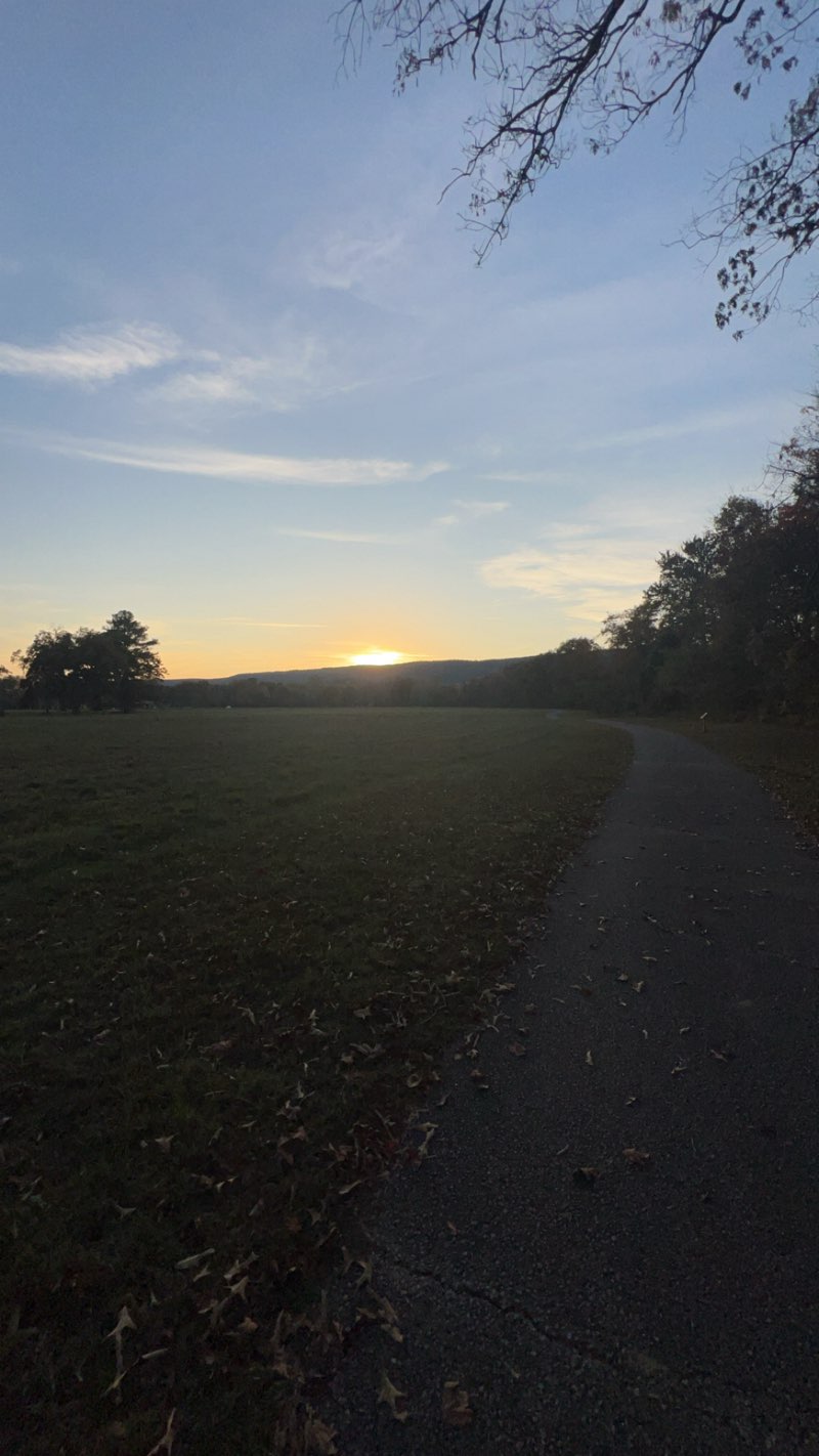 walking near me in natures park in winter