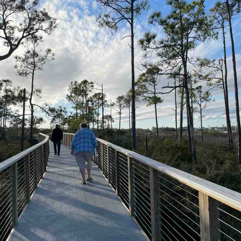 Cathie Cairns Sagorski post 1