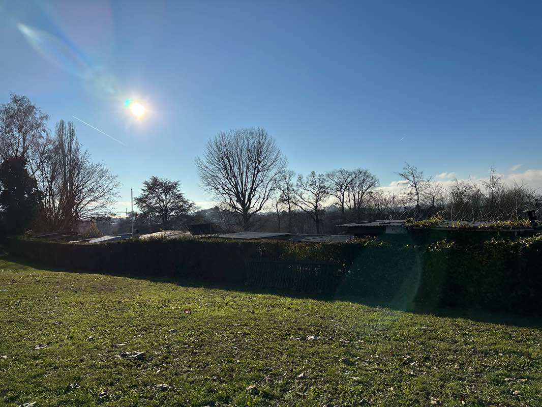 walking near me in Parc Paudex in winter