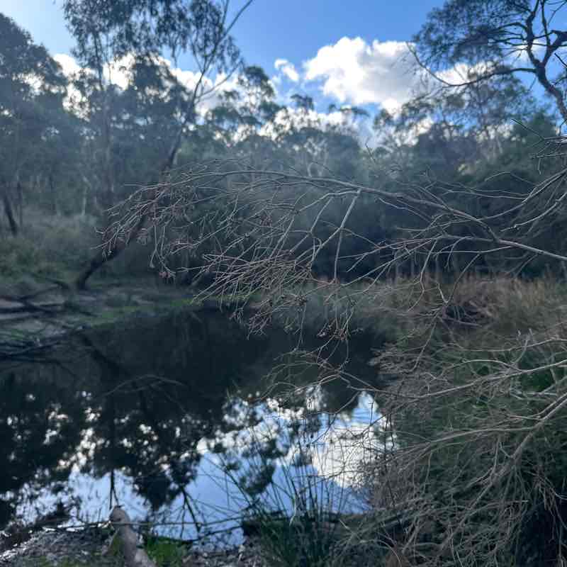Bronwyn post 2