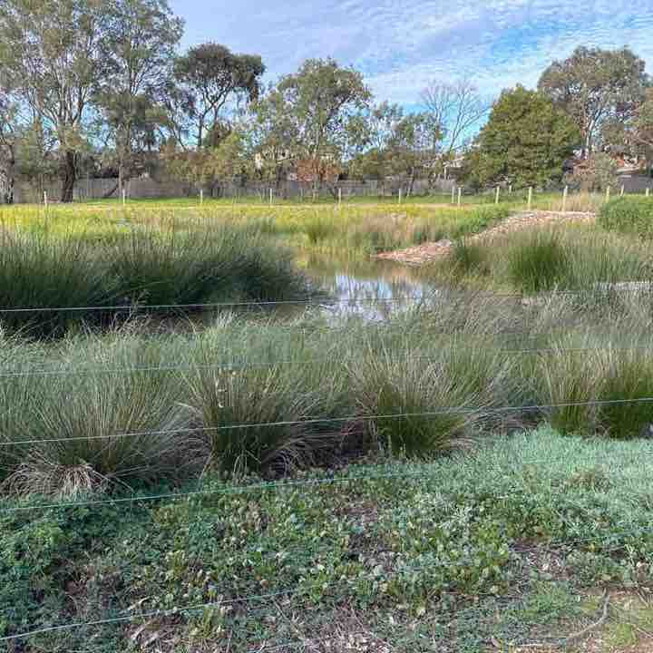 Bronwyn post 1