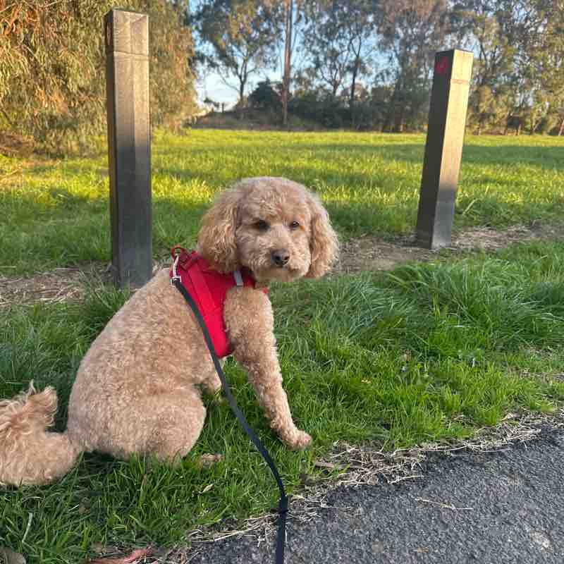 Bronwyn post 1