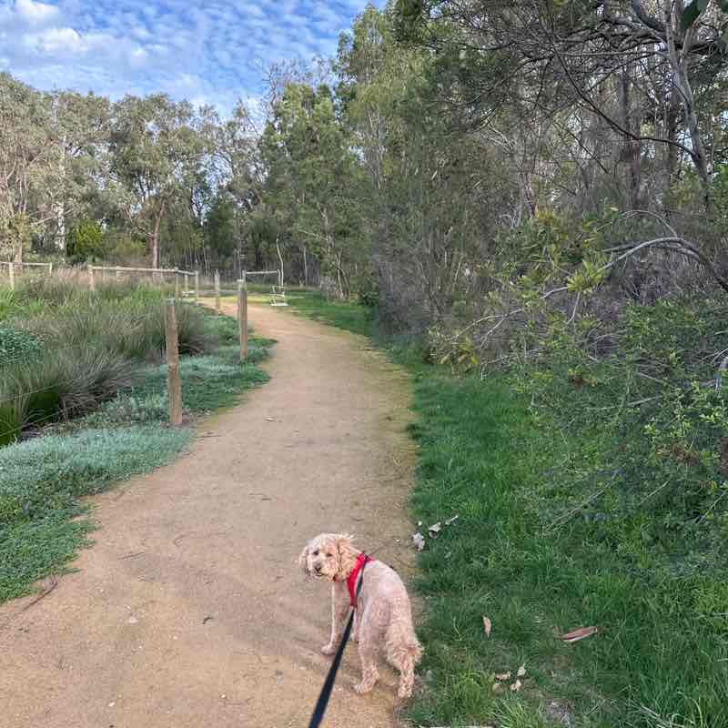 Bronwyn post 2