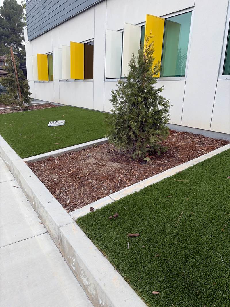 walking near me in Holly Avenue Park in spring