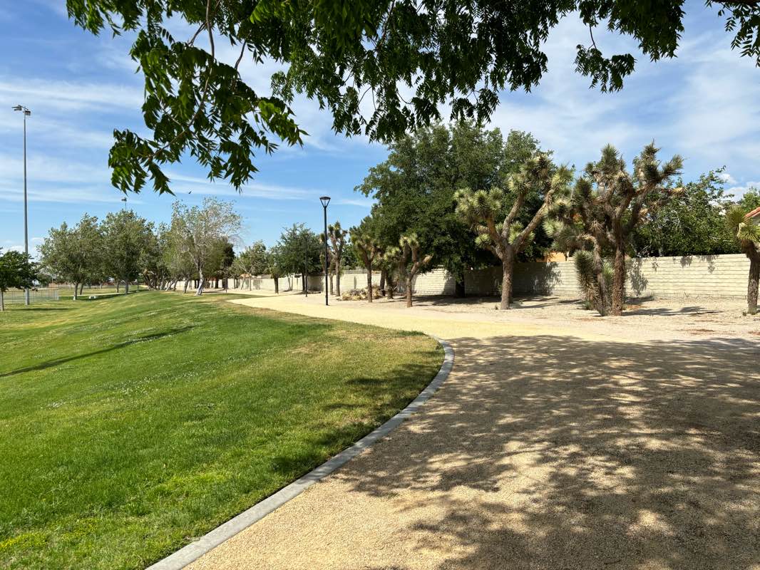 walking near me in Palms Park in winter