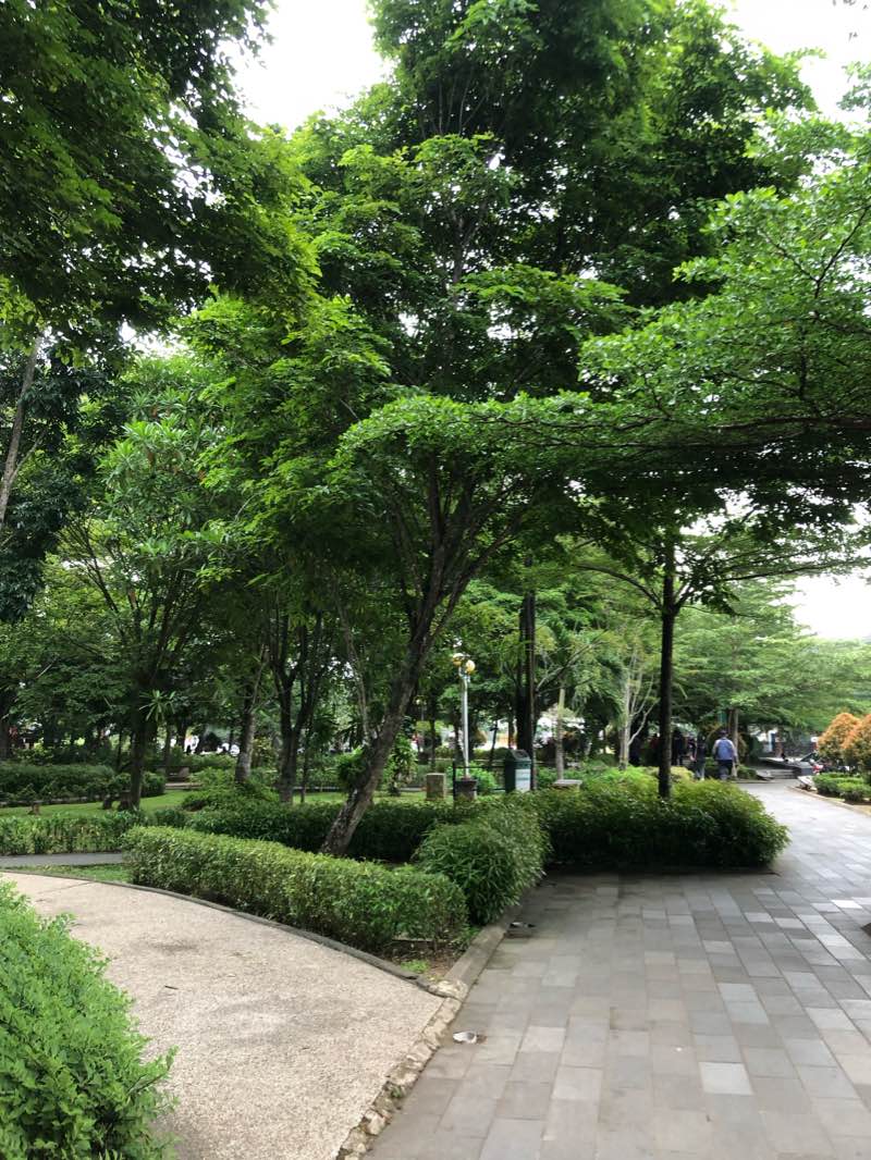 walking near me in Samarendah Park in summer